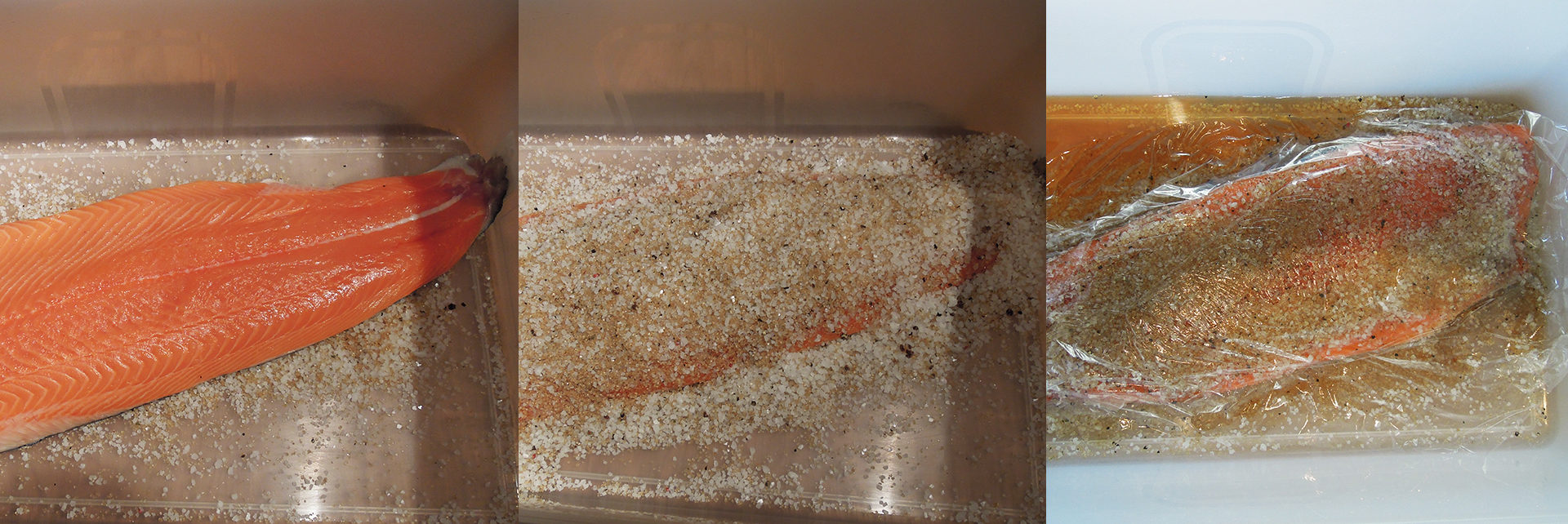 The cure effect - salmon after overnight curing
